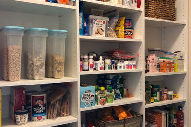 Example of a mid-sized classic l-shaped kitchen pantry design in Other