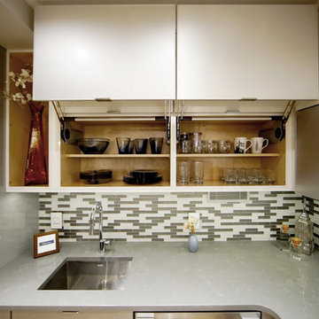 Park Ave.- Kitchen Renovation- Cabinetry and Countertops