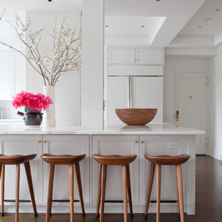 Transitional kitchen ideas - Transitional kitchen photo in New York with shaker cabinets