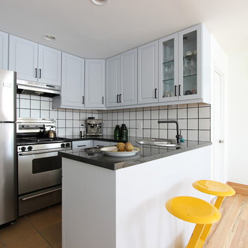 Park Slope Residence - Kitchen