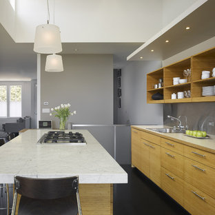 Marine Grade Plywood Cabinets Houzz Marine Grade Plywood Cabinets Houzz, Marine Plywood Kitchen Cabinets Singapore