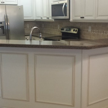 Parkland Kitchen Renovation