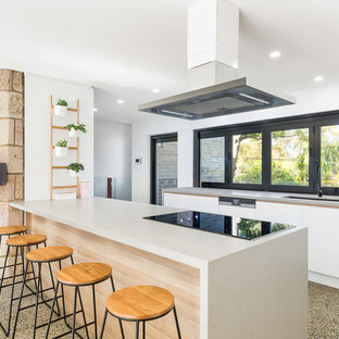 Design ideas for a contemporary galley open plan kitchen in Sydney with an undermount sink, beaded inset cabinets, white cabinets, window splashback, black appliances and a peninsula.