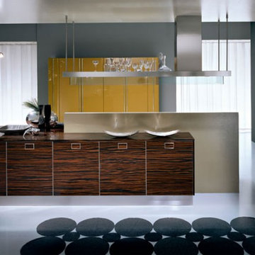 PEDINI - Outline
