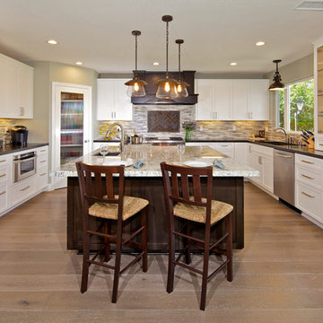 Penasquitos Whole House Remodel