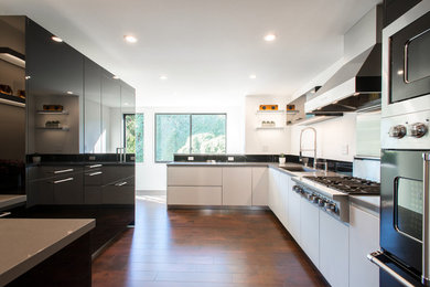 Example of a minimalist kitchen design in San Francisco