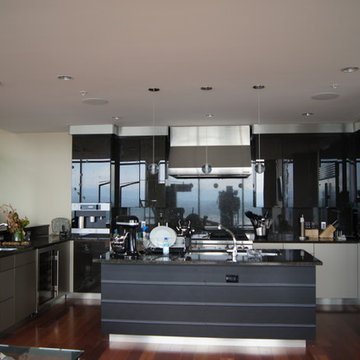 Penthouse Kitchen in Downtown Denver