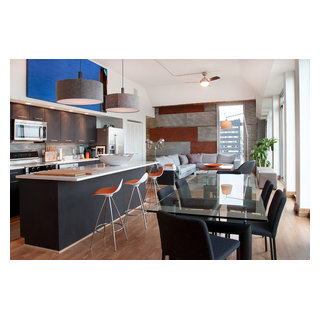 Beautiful view of Philadelphia Penthouse Scandinavian Apartment Design