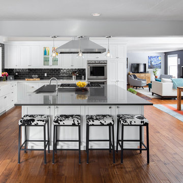 Philip Open Concept Kitchen + First Floor--Newton, Massachusetts