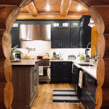 Pierson Log Cabin Kitchen Remodel