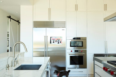 Example of a minimalist kitchen design in San Francisco