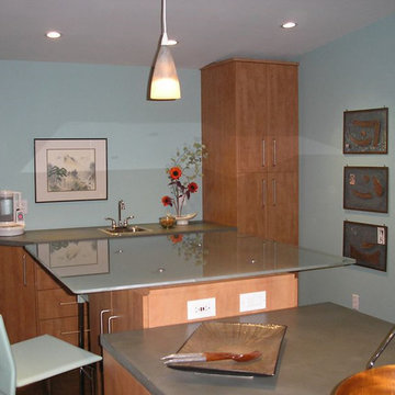Premium Wholesale Cabinets - Claudia Kitchen Design & Remodel
