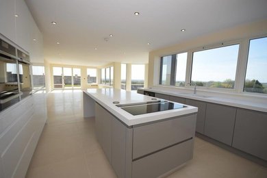 Photo of a modern kitchen in Other with flat-panel cabinets, grey cabinets and an island.