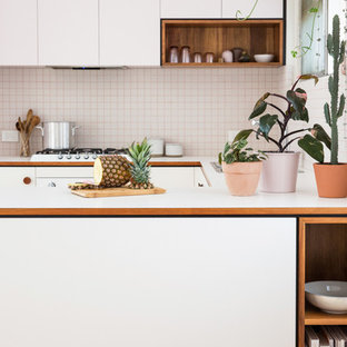 75 Beautiful Mid-Century Modern Kitchen with Laminate ...