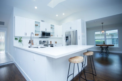 Kitchen - modern kitchen idea in Miami