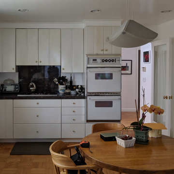 Proj 44 - San Francisco Kitchen Remodel - Modern - Sollera