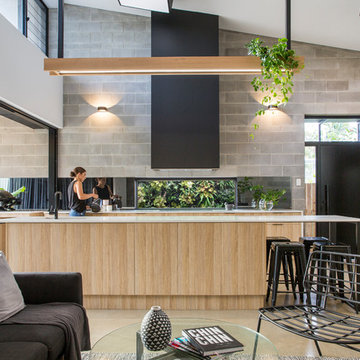 Project- Laneway House