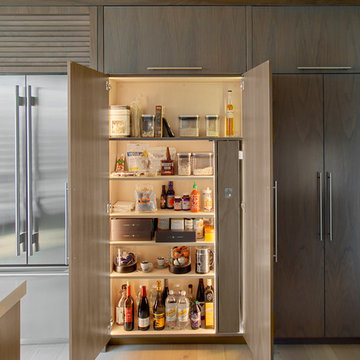 Pull Pantry- contemporary style