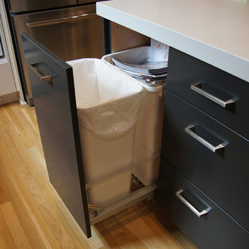 Pullout trans and recycling cabinet