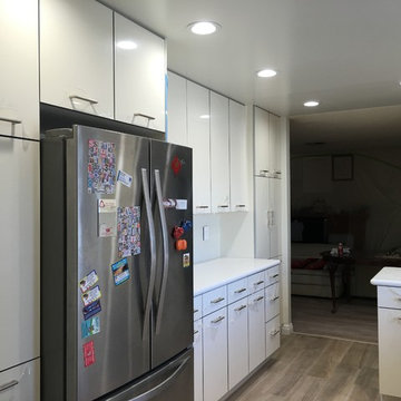 Pure Milky White (2016 Kitchen Remodeling)