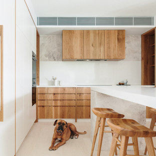 Mid-sized scandinavian kitchen in Sydney.