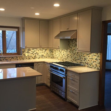 Rainhart/Digman Kitchen Remodel