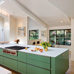 75 Beautiful Mid Century Modern Kitchen With Green Cabinets Pictures Ideas July 2021 Houzz
