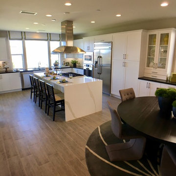 Rancho Mission Viejo, CA - Transitional Newly Constructed Home