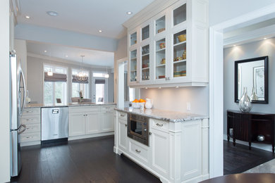 Inspiration for a timeless galley dark wood floor enclosed kitchen remodel in Toronto with flat-panel cabinets and stainless steel appliances