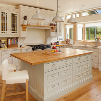 Kitchen - traditional kitchen idea in Dublin with wood countertops