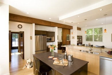 Moderne Küche mit Triple-Waschtisch, flächenbündigen Schrankfronten, hellen Holzschränken und Küchengeräten aus Edelstahl in Boston