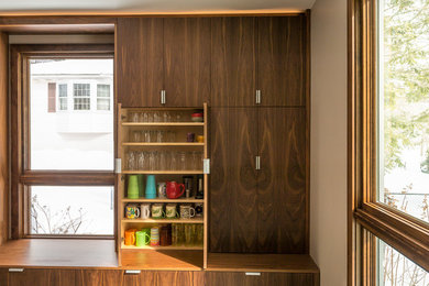 Example of a minimalist kitchen design in Boston