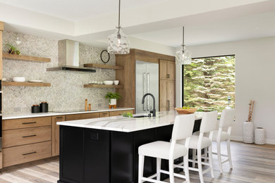 Kitchen - transitional kitchen idea in Minneapolis