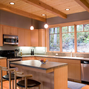 Diseño de cocina en L, contemporánea, con armarios con paneles lisos, puertas de armario de madera oscura, electrodomésticos de acero inoxidable, suelo de madera en tonos medios, una isla y suelo marrón