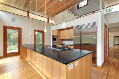 Eat-in kitchen - modern single-wall eat-in kitchen idea in Los Angeles with flat-panel cabinets, light wood cabinets, an island and black countertops