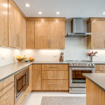 Reston Contemporary Red Birch Kitchen