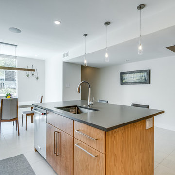 Reston Contemporary Red Birch Kitchen