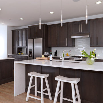 RESTON TOWN CENTER--Town House KITCHEN REMODEL--Contemporary