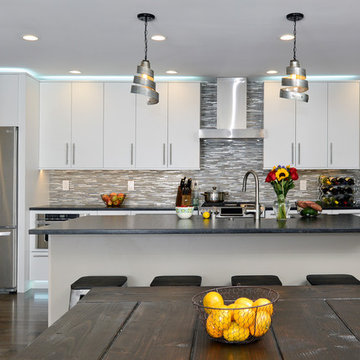 RESTON, VIRGINIA--MODERN/CONTEMPORARY KITCHEN REMODEL