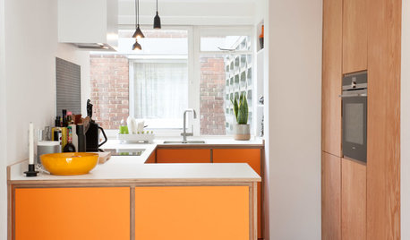 Kitchen Tour: A Sustainable Design for a Small Midcentury Flat