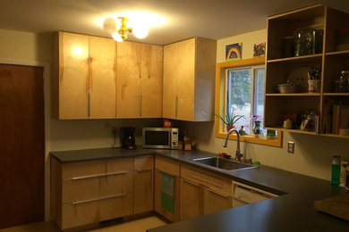 Retro Kitchen Cabinets