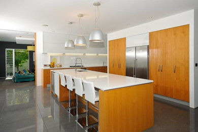 This is an example of a modern kitchen in Hamilton.