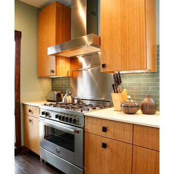 RIVER FOREST CONTEMPORARY BAMBOO KITCHEN