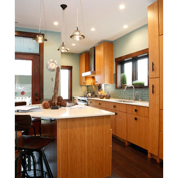 RIVER FOREST CONTEMPORARY BAMBOO KITCHEN