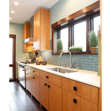 RIVER FOREST CONTEMPORARY BAMBOO KITCHEN