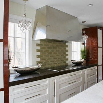 River Forest Modern Exotic Wood Kitchen