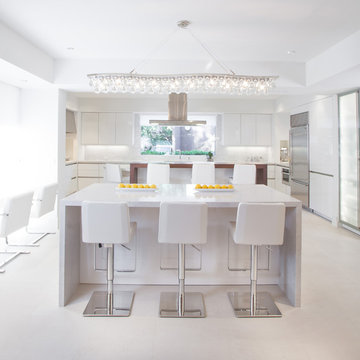 River Oaks Contemporary Kitchen