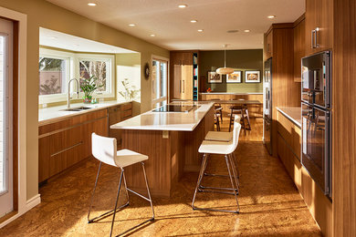 Eat-in kitchen - 1960s cork floor eat-in kitchen idea in Edmonton with a double-bowl sink, flat-panel cabinets, quartz countertops, stainless steel appliances and an island