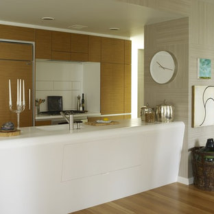 This is an example of a modern galley open plan kitchen in New York with flat-panel cabinets, light wood cabinets, solid surface benchtops and panelled appliances.