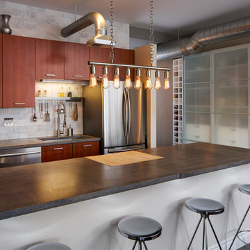 Rogers Park: Morse Avenue